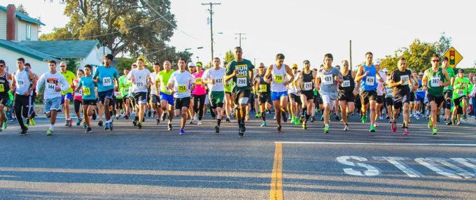 riverbank run for the cheese